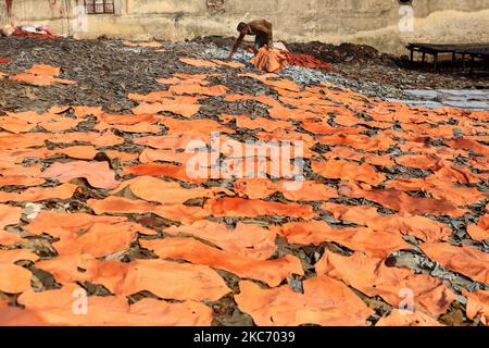 Des ouvriers travaillent dans une usine de tannerie à Hazaribagh Dhaka, au Bangladesh, sur 05 janvier 2021. L'industrie du cuir est une industrie importante au Bangladesh et le gouvernement du Bangladesh l'a déclarée comme un secteur prioritaire. L'industrie était le deuxième secteur d'exportation du Bangladesh. L'industrie joue également un bon rôle dans la création d'emplois. Human Right Watch a signalé qu'elle est responsable de la pollution de l'air, de l'eau et du sol qui a entraîné de graves problèmes de santé dans la population. (Photo de Kazi Salahuddin Razu/NurPhoto) Banque D'Images