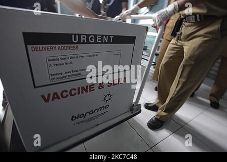 Les travailleurs déchargent les vaccins Sinovac Biotech Ltd. Pour le coronavirus COVID-19 d'un camion à un entrepôt frigorifique de vaccins à Bogor, Java Ouest, Indonésie, on 12 janvier 2021. (Photo par Adriana Adie/NurPhoto) Banque D'Images