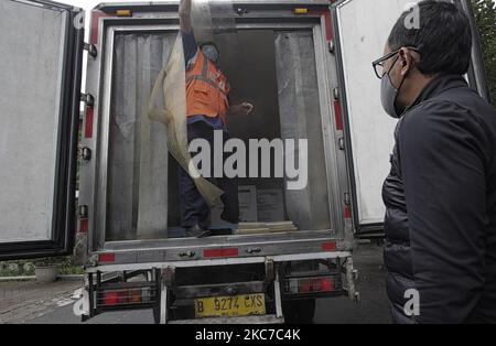 Les travailleurs préparent le déchargement des vaccins Sinovac Biotech Ltd. Pour le coronavirus COVID-19 d'un camion à un entrepôt frigorifique de vaccins à Bogor, Java Ouest, Indonésie, on 12 janvier 2021. (Photo par Adriana Adie/NurPhoto) Banque D'Images