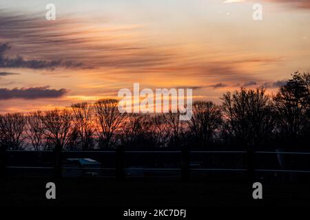 La vie quotidienne tôt le matin aux pays-Bas. Lever du soleil d'hiver dans la région du Brabant Nord avec le soleil orange vif pendant l'heure magique formant un ciel coloré avec quelques nuages et silhouettes d'arbres, de bâtiments, de personnes ou d'oiseaux devant lui. Les températures inférieures à zéro pendant la nuit forment un peu de gel pendant le temps de gel. Meerhoven - Eindhoven on 13 janvier 2020 (photo de Nicolas Economou/NurPhoto) Banque D'Images