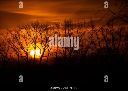 La vie quotidienne tôt le matin aux pays-Bas. Lever du soleil d'hiver dans la région du Brabant Nord avec le soleil orange vif pendant l'heure magique formant un ciel coloré avec quelques nuages et silhouettes d'arbres, de bâtiments, de personnes ou d'oiseaux devant lui. Les températures inférieures à zéro pendant la nuit forment un peu de gel pendant le temps de gel. Meerhoven - Eindhoven on 13 janvier 2020 (photo de Nicolas Economou/NurPhoto) Banque D'Images