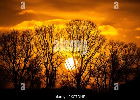 La vie quotidienne tôt le matin aux pays-Bas. Lever du soleil d'hiver dans la région du Brabant Nord avec le soleil orange vif pendant l'heure magique formant un ciel coloré avec quelques nuages et silhouettes d'arbres, de bâtiments, de personnes ou d'oiseaux devant lui. Les températures inférieures à zéro pendant la nuit forment un peu de gel pendant le temps de gel. Meerhoven - Eindhoven on 13 janvier 2020 (photo de Nicolas Economou/NurPhoto) Banque D'Images