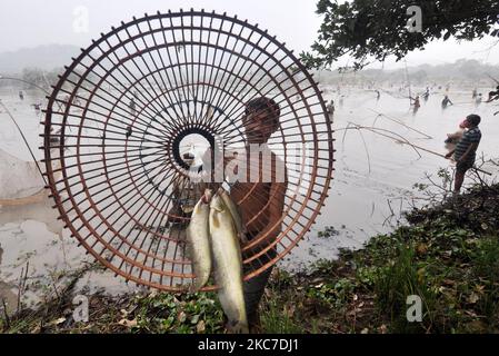 Un villageois indien montre ses prises lorsqu'il participe à la pêche communautaire dans le cadre des célébrations de Bhogali Bihu au lac Goroimari à Panbari, à environ 50 km de Guwahati, Inde le 13,2021 janvier. Bhogali Bihu est un festival de récolte célébré dans l'État d'Assam, dans le nord-est de l'Inde (photo d'Anuwar Hazarika/NurPhoto) Banque D'Images