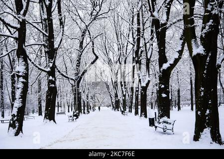 Les arbres d'un parc sont couverts de neige à Cracovie, en Pologne. 14 janvier 2021. (Photo de Beata Zawrzel/NurPhoto) Banque D'Images