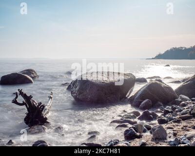 L'arbre tombé se trouve près de la rive contre le fond des cailloux et de l'eau. La racine de l'arbre à la rive, mer Baltique à Ruegen islan Banque D'Images