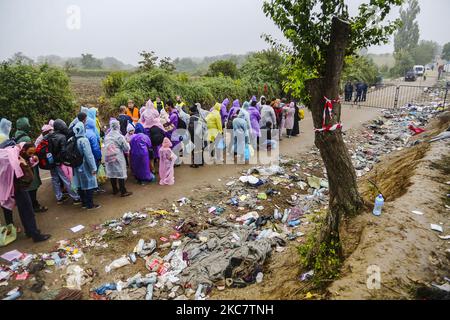 Les réfugiés arrivent à la frontière entre la Serbie et la Croatie, entre Berkosovo et Bapska sur 26 septembre 2015. Un nombre record de réfugiés du Moyen-Orient, d'Afrique et d'Asie utilisent la route des Balkans pour entrer dans l'UE. (Photo de Beata Zawrzel/NurPhoto) Banque D'Images