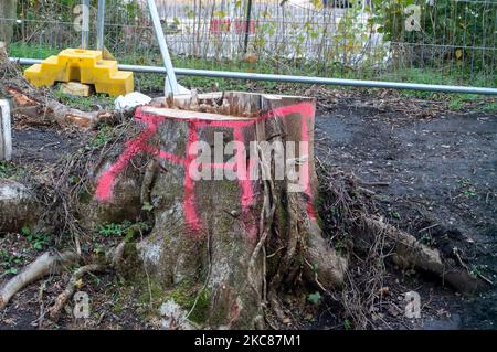 Wendover, Buckinghamshire, Royaume-Uni. 4th novembre 2022. Des arbres ont été abattus par HS2 près de la ligne de chemin de fer Chiltern. HS2 construisent un viaduc de 350 mètres de long en traversant la ligne A413 et la ligne de chemin de fer Chiltern. HS2 ont démoli la ferme de barnes de route et abattu des centaines d'arbres le long de Small Dean Lane et de chaque côté du A413. Arrêt HS2 les manifestants vivaient autrefois dans les bois au large des A413 au camp de résistance actif de Wendover pendant deux ans. L'écoactiviste Dan Hooper, connu sous le nom de Swampy et d'autres se sont emparés sous les terres boisées pour protester contre HS2 en prenant les terres boisées. Crédit : Maureen McLean/Alay Liv Banque D'Images