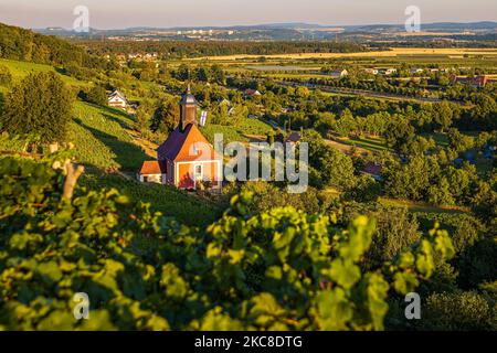 L'église du vignoble à l'Esprit Saint dans la région viticole de Dresde-Pillnitz en Allemagne Banque D'Images