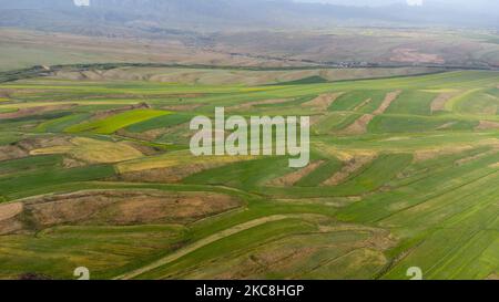 Vue aérienne sur les prairies verdoyantes et les champs Banque D'Images