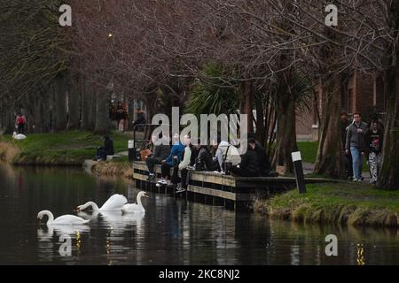 Un troupeau de cygnes vus sur le Grand Canal à Dublin pendant le confinement de Covid-19 au niveau 5. Le jeudi 4 février 2021, à Dublin, Irlande. (Photo par Artur Widak/NurPhoto) Banque D'Images