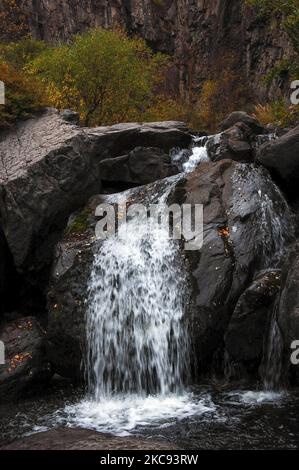 Un cliché vertical d'une petite cascade sur un rocher dans une forêt Banque D'Images