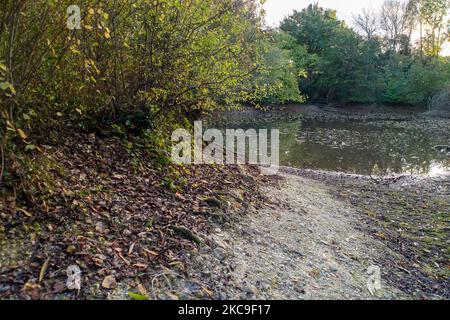 Wendover, Buckinghamshire, Royaume-Uni. 4th novembre 2022. Les niveaux d'eau dans l'étang de Hampden à Wendover ont chuté de façon drastique. Le Groupe d'action d'atténuation Wendover HS2 a déjà soulevé ses préoccupations au sujet des travaux de construction de HS2. Ils croient que la découpe de HS2 et le tunnel vert à Wendover devraient causer de graves dommages à l'aquifère de craie. HS2 a fait une enquête CCTV de l'étang en mai de cette année, mais il ne savait pas quels sont les résultats et pourquoi les niveaux d'eau de l'étang sont si bas. Crédit : Maureen McLean/Alay Live News Banque D'Images