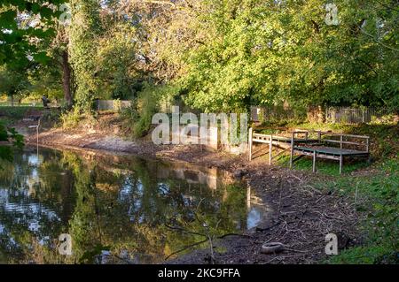 Wendover, Buckinghamshire, Royaume-Uni. 4th novembre 2022. Les niveaux d'eau dans l'étang de Hampden à Wendover ont chuté de façon drastique. Le Groupe d'action d'atténuation Wendover HS2 a déjà soulevé ses préoccupations au sujet des travaux de construction de HS2. Ils croient que la découpe de HS2 et le tunnel vert à Wendover devraient causer de graves dommages à l'aquifère de craie. HS2 a fait une enquête CCTV de l'étang en mai de cette année, mais il ne savait pas quels sont les résultats et pourquoi les niveaux d'eau de l'étang sont si bas. Crédit : Maureen McLean/Alay Live News Banque D'Images