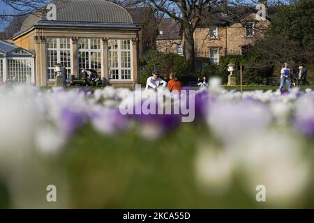 Les membres du public apprécient le printemps dans les jardins botaniques de Sheffield le 28 février 2021. (Photo de Giannis Alexopoulos/NurPhoto) Banque D'Images