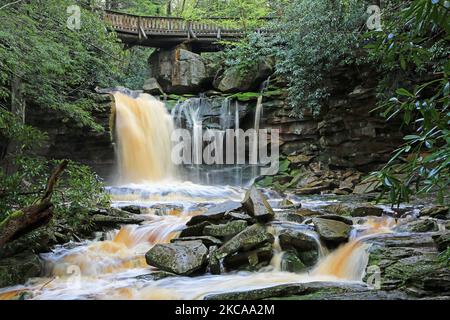 Vue sur les chutes d'Elakala - Virginie-Occidentale Banque D'Images