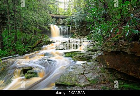 Paysage avec les chutes d'Elakala - Virginie-Occidentale Banque D'Images