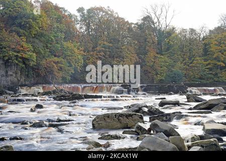 Automne à la rivière Swale, Richmond, North Yorkshire Banque D'Images