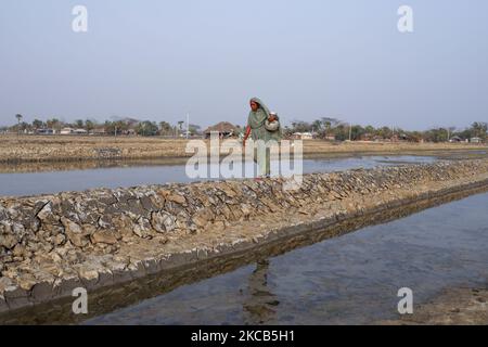 Une femme recueille de l'eau potable, effet de salinité vu dans le sol en conséquence les arbres sont morts après le coup d'amphan Cyclone à Satkhira, Bangladesh sur 20 mars 2021. Des fissures profondes observées dans un champ comme l'élévation du niveau de la mer provoque des fissures profondes en laissant du sel sur le sol après l'évaporation. Le Bangladesh est l'un des pays les plus vulnérables aux effets du changement climatique. Les risques naturels réguliers et graves que le Bangladesh souffre déjà de cyclones tropicaux, d'érosion des rivières, d'inondations, de glissements de terrain et de sécheresse sont tous sur le point d'augmenter en intensité et en fréquence en raison du changement climatique. L'élévation du niveau de la mer le fera Banque D'Images