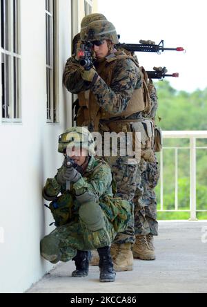 Les Marines des États-Unis et la Royal Brunei Land Forces mènent des opérations militaires. Banque D'Images