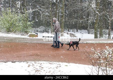 Les gens qui valent leur chien dans la neige. Les pays-Bas réveillent la neige couverte après une forte chute de neige le matin, un événement de bizzar pour avril. Le deuxième jour de basses températures et de neige aux pays-Bas après le lundi de Pâques blanc avec une baisse significative de la température, atteignant le point de congélation selon l'agence météorologique néerlandaise KNMI faisant du lundi de Pâques l'un des jours les plus froids jamais avec des températures basses enregistrées. En plus de la neige, de la grêle et du vent froid de glace à grande vitesse s'est produit. La KNMI a émis un avertissement météo jaune pour lundi soir, disant qu'il y aura fort Banque D'Images