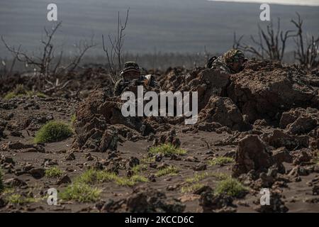 Les soldats de l'INT jouant la force adverse retournent un tir simulé sur l'élément agressant sur le terrain d'entraînement de Pohakuloa, le 2 novembre 2022. Des exercices de formation réalistes, comme JPMRC 23-01, renforcent les relations de défense, favorisent l'interopérabilité multinationale, augmentent la préparation des États-Unis, Et renforcer le réseau régional unifié d’énergie terrestre qui soutient une Indo-Pacifique libre et ouverte. (É.-U. Photo de l'armée par le Sgt. Daniel proprement dit, 25th Division d'infanterie) Banque D'Images