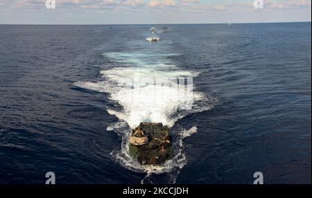 Véhicules d'assaut amphibies en mer Méditerranée. Banque D'Images