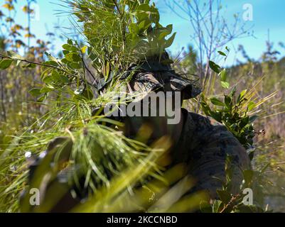 Un sniper de scouts de la marine américaine regarde à travers la portée de son fusil. Banque D'Images