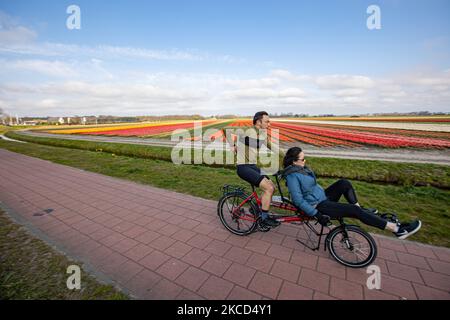 On voit des gens faire du vélo devant les champs de fleurs. Magic Dutch printemps saison avec les gens vus autour des champs avec les bulbes de fleurs fleurant dans les champs colorés de rouge, blanc, orange, jaune, etc tulipes, Hyacinthes bleu et pourpre, et Daffodil jaune et blanc, plantes Narcisse. Cet endroit est célèbre et attire quotidiennement des milliers de touristes. Il est connu pour le très populaire jardin de Keukenhof, qui possède des millions de bulbes à fleurs printanières, l'un des plus grands jardins fleuris du monde, également connu sous le nom de jardin de l'Europe. Lisse, pays-Bas sur 19 avril 2021 (photo de Nicolas Economou/NurPh Banque D'Images