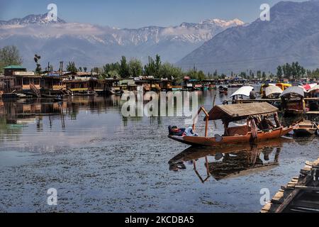 Les propriétaires de shikara attendent leurs clients au célèbre lac Dal à Srinagar, Jammu-et-Cachemire, Inde, le 24 avril 2021. Le tourisme au Cachemire a commencé sur une note prometteuse au début de la nouvelle année. Cependant, avec la deuxième vague de ravages à travers le pays, l'afflux de touristes a commencé à se tasser.Â au cours des deux dernières semaines, la plupart des réservations à l'avance dans les hôtels et les bateaux de ménage à travers le Cachemire ont été annulées, ont déclaré les parties prenantes. (Photo de Nasir Kachroo/NurPhoto) Banque D'Images