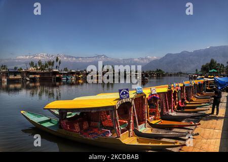 Les propriétaires de shikara attendent leurs clients au célèbre lac Dal à Srinagar, Jammu-et-Cachemire, Inde, le 24 avril 2021. Le tourisme au Cachemire a commencé sur une note prometteuse au début de la nouvelle année. Cependant, avec la deuxième vague de ravages à travers le pays, l'afflux de touristes a commencé à se tasser.Â au cours des deux dernières semaines, la plupart des réservations à l'avance dans les hôtels et les bateaux de ménage à travers le Cachemire ont été annulées, ont déclaré les parties prenantes. (Photo de Nasir Kachroo/NurPhoto) Banque D'Images