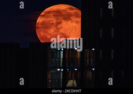 La pleine lune ou la Superlune rose ou la Super Lune rose d'avril 2021, vue de la ville néerlandaise, Eindhoven, pays-Bas sur 27 avril 2021, s'élevant au-dessus de l'horizon derrière les bâtiments en rouge. La lune super complète est plus grande et plus lumineuse dans le ciel parce qu'elle est plus proche de la Terre., 14 pour cent plus grande et 30 pour cent plus lumineuse qu'une taille et une luminosité communes d'une lune habituelle. Le nom de la Lune rose est lié à la floraison printanière des fleurs. Autres noms le satellite naturel de la Terre en orbite autour de la planète et le plus grand satellite du système solaire sont Selene, Luna et Cynthia. (Pho Banque D'Images