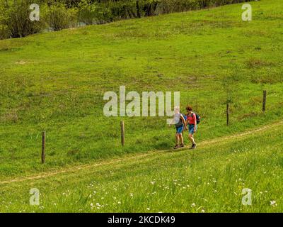 Deux marchettes femelles se prominent autour d'une digue, pendant les températures printanières aux pays-Bas, sur 28 avril 2021. (Photo par Romy Arroyo Fernandez/NurPhoto) Banque D'Images