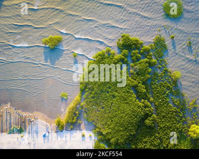 Une vue de drone des mangroves de Ha Pak Nai et des personnes entrant dans les mangroves pour des photos. Sur 24 mai 2021 à Hong Kong, Chine. (Photo de Marc Fernandes/NurPhoto) Banque D'Images