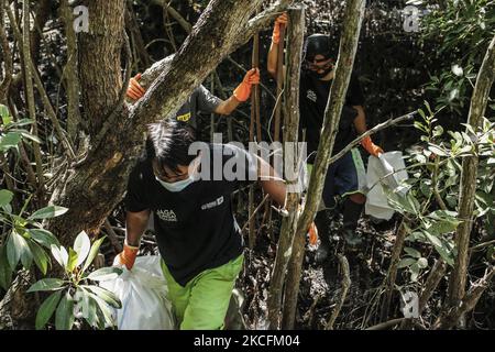 Les volontaires de Sungai Watch participent au nettoyage du canal de la rivière à partir de barres en plastique près de la mangrove lors de la Journée mondiale de l'environnement à Denpasar, Bali, Indonésie, sur 5 juin 2021. Le nettoyage d'urgence est effectué régulièrement en aval à l'intérieur de la mangrove, où se terminent toutes les cendres de plastique qui sont lavées par le débit de la rivière. L'habitude de jeter des coups de fouet dans le fleuve reste le principal problème de la pollution des cours d'eau en Indonésie. (Photo de Johannes Christo/NurPhoto) Banque D'Images