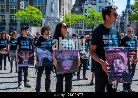 Des centaines d'activistes animaux tiennent des photos de cruauté envers les animaux, lors de la Journée nationale des droits des animaux qui s'est tenue à Amsterdam, sur 6 juin 2021. (Photo par Romy Arroyo Fernandez/NurPhoto) Banque D'Images