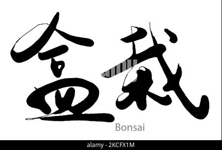 Calligraphie dessinée à la main du mot Bonsai sur fond blanc, rendu 3D Banque D'Images