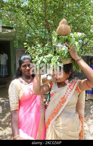 Femme hindoue tamoule avec une brochette faciale et des épingles dans le bras, alors qu'elle porte une marmite sur la tête remplie de lait et de miel et recouverte de feuilles de margosa pendant le festival Nallur Ter (festival Nallur Chariot) au Nallur Kandaswamy Kovil (temple de Nallur) à Jaffna, au Sri Lanka. Des centaines de milliers de fidèles hindous tamouls du monde entier ont assisté à ce festival. (Photo de Creative Touch Imaging Ltd./NurPhoto) Banque D'Images