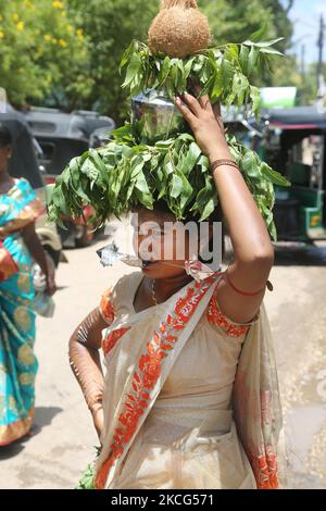 Femme hindoue tamoule avec une brochette faciale et des épingles dans le bras, alors qu'elle porte une marmite sur la tête remplie de lait et de miel et recouverte de feuilles de margosa pendant le festival Nallur Ter (festival Nallur Chariot) au Nallur Kandaswamy Kovil (temple de Nallur) à Jaffna, au Sri Lanka. Des centaines de milliers de fidèles hindous tamouls du monde entier ont assisté à ce festival. (Photo de Creative Touch Imaging Ltd./NurPhoto) Banque D'Images