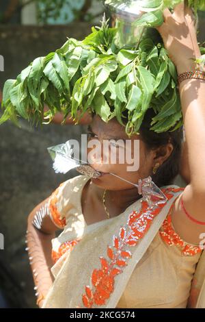 Femme hindoue tamoule avec une brochette faciale et des épingles dans le bras, alors qu'elle porte une marmite sur la tête remplie de lait et de miel et recouverte de feuilles de margosa pendant le festival Nallur Ter (festival Nallur Chariot) au Nallur Kandaswamy Kovil (temple de Nallur) à Jaffna, au Sri Lanka. Des centaines de milliers de fidèles hindous tamouls du monde entier ont assisté à ce festival. (Photo de Creative Touch Imaging Ltd./NurPhoto) Banque D'Images