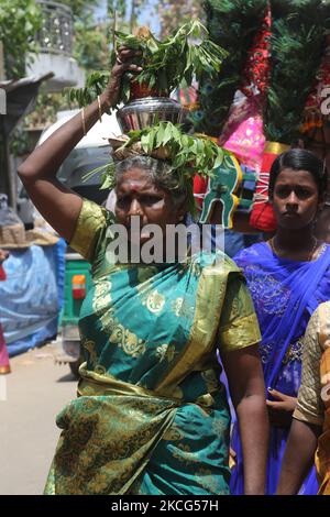 La femme hindoue tamoule porte une marmite sur sa tête remplie de lait et de miel et recouverte de feuilles de margosa pendant le festival de Nallur Ter (festival de Nallur Chariot) au Nallur Kandaswamy Kovil (temple de Nallur) à Jaffna, au Sri Lanka. Des centaines de milliers de fidèles hindous tamouls du monde entier ont assisté à ce festival. (Photo de Creative Touch Imaging Ltd./NurPhoto) Banque D'Images