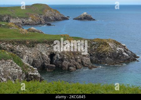 Une vue générale de la Grande Saltee, la plus grande des deux îles les îles Saltee sont composées de deux petites îles inhabitées au large de la côte sud-est de l'Irlande. Les îles sont un paradis pour les oiseaux de mer et un terrain de reproduction pour fulmar, gannet, shag, kittiwake, guillemot, razorbill et les macareux, qui se trouvent sur une route migratoire importante, sont un point d'arrêt populaire pour les oiseaux migrateurs du printemps et de l'automne. Le vendredi 18 juin 2021, à Great Saltee, Saltee Islands, comté de Wexford, Irlande. (Photo par Artur Widak/NurPhoto) Banque D'Images