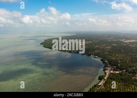 Vue aérienne de la côte de la péninsule de Kalpitiya avec des palmiers Sri Lanka. Banque D'Images