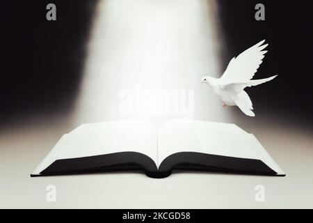 La parole brillante de la vie, la Bible, le faisceau lumineux de la lumière, et la colombe blanche du Saint-Esprit Banque D'Images