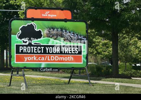 Panneau exhortant les résidents à signaler tout contrefort endommagé par la spongieuse européenne (Lymantria dispar dispa) à Markham, Ontario, Canada, on 01 juillet 2021. La spongieuse européenne est un insecte non indigène qui se nourrit de feuilles de chêne mais qui se nourrit des feuilles de nombreux autres feuillus, dont l'érable, l'orme, le bouleau, le peuplier et le saule. (Photo de Creative Touch Imaging Ltd./NurPhoto) Banque D'Images