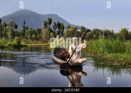 Un homme musulman pagaie un petit bateau le long du lac Nagin à Srinagar, au Cachemire, en Inde. (Photo de Creative Touch Imaging Ltd./NurPhoto) Banque D'Images