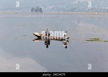 Pêcheurs cachemiriens pêchant sur le lac Dal à Srinagar, Cachemire, Inde, 22 juin 2010. (Photo de Creative Touch Imaging Ltd./NurPhoto) Banque D'Images