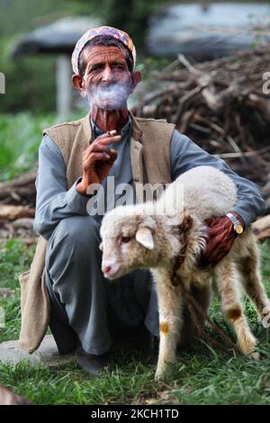 L'homme Gaddi fume un biddi (cigarette roulée à la main) alors qu'il tient un petit agneau dans le village de Mandher dans l'Himachal Pradesh, en Inde, sur 03 juillet 2010. (Photo de Creative Touch Imaging Ltd./NurPhoto) Banque D'Images