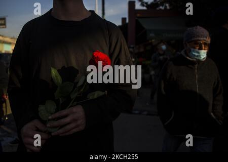 Une personne détient une rose au milieu des funérailles de Luisa Toledo Sepulveda, mère des frères Rafael(18) et Eduardo Vergara Toledo(19). Assassiné par la police des carabineros de Chili, pendant la dictature civilo-militaire d'Augusto Pinochet. Elle a consacré sa vie à lutter pour la justice pour ses enfants. Pour cette raison, elle est populairement considérée comme la mère du peuple qui combat et de tous les jeunes combattants. Sur 7 juillet 2021 à Santiago du Chili. (Photo de Claudio Abarca Sandoval/NurPhoto) Banque D'Images