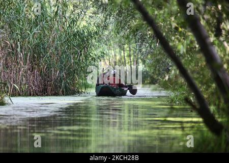 Le boatman de Kashmiri navigue sur son petit bateau à travers la croissance dense dans les eaux du lac Nagin à Srinagar, Cachemire, Inde, sur 26 juin 2010. (Photo de Creative Touch Imaging Ltd./NurPhoto) Banque D'Images