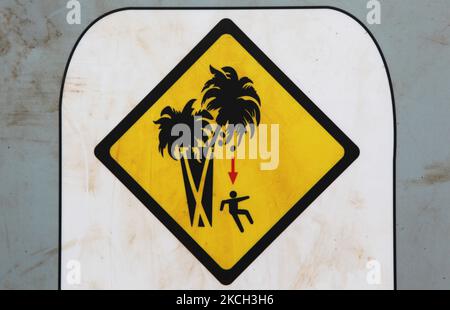 Signez un avertissement sur le risque de chute de noix de coco à la plage d'Anakena sur l'île de Pâques, au Chili, sur 19 mars 2010. (Photo de Creative Touch Imaging Ltd./NurPhoto) Banque D'Images